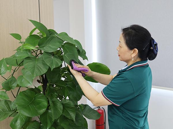 你真的了解保潔嗎？